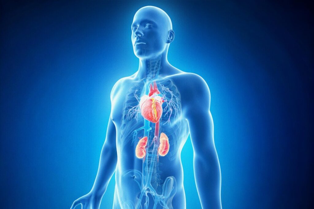 90-of-americans-unaware-of-new-cardiovascular-kidney-metabolic-syndrome