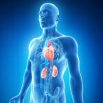 90-of-americans-unaware-of-new-cardiovascular-kidney-metabolic-syndrome