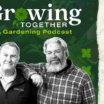 autumn-review-evaluate-your-trees-and-shrubs-for-health