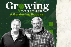 autumn-review-evaluate-your-trees-and-shrubs-for-health