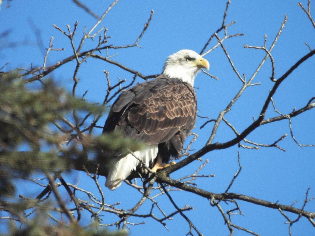 capture-your-community-submit-your-photos-by-november-27