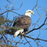 capture-your-community-submit-your-photos-by-november-27