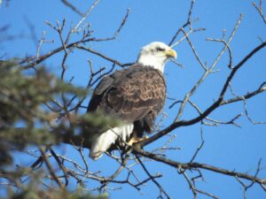 capture-your-community-submit-your-photos-by-november-27