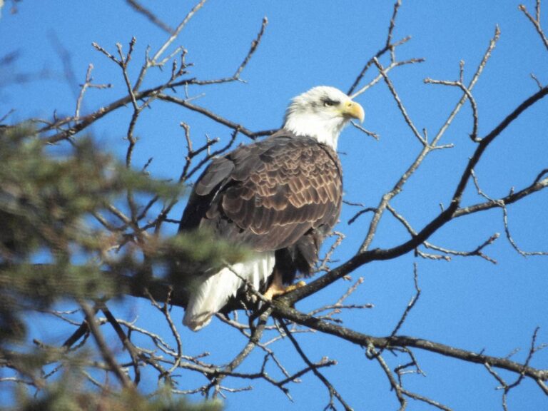 capture-your-community-submit-your-photos-by-november-27