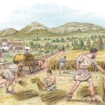 cereal-grain-cultivation-sparks-birth-of-early-states-study-reveals