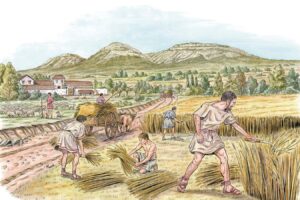 cereal-grain-cultivation-sparks-birth-of-early-states-study-reveals