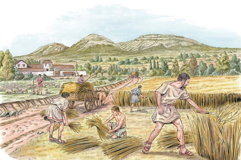 cereal-grain-cultivation-sparks-birth-of-early-states-study-reveals