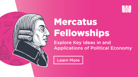 concerns-arise-over-affordability-politics-and-economic-growth