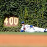 cubs-capture-mlb-high-three-gold-gloves-in-historic-season