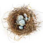 discover-exciting-new-exhibitions-at-san-francisco-museums-this-november