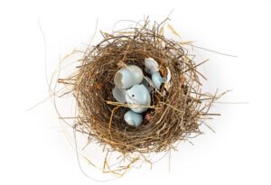 discover-exciting-new-exhibitions-at-san-francisco-museums-this-november