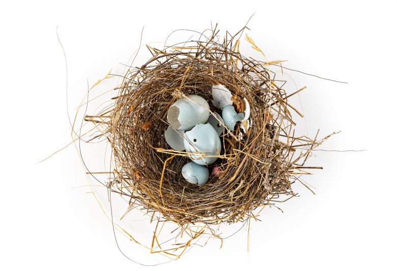 discover-exciting-new-exhibitions-at-san-francisco-museums-this-november