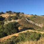 east-bay-parks-open-free-on-green-friday-for-outdoor-fun