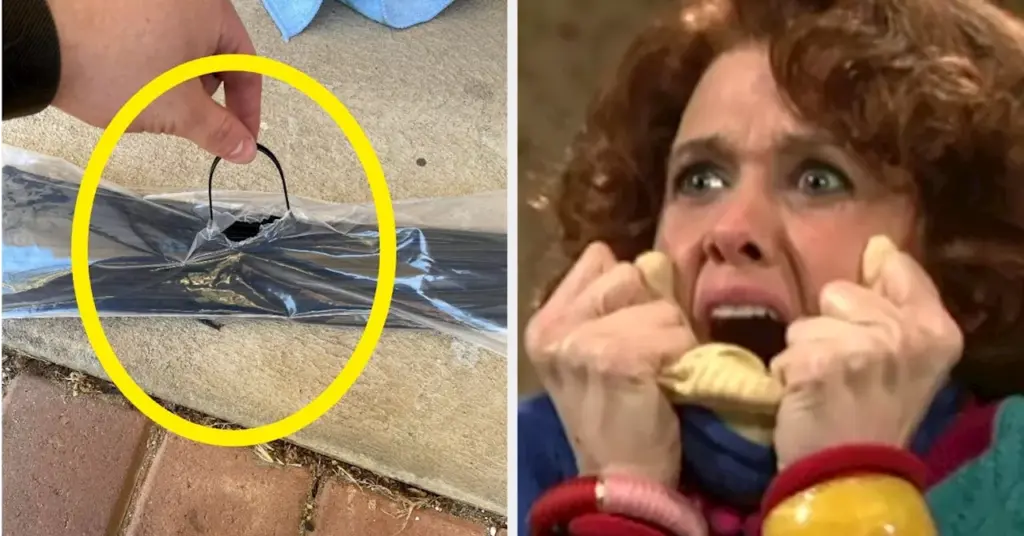 everyday-life-hacks-showcase-innovative-solutions-from-around-the-world