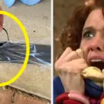 everyday-life-hacks-showcase-innovative-solutions-from-around-the-world