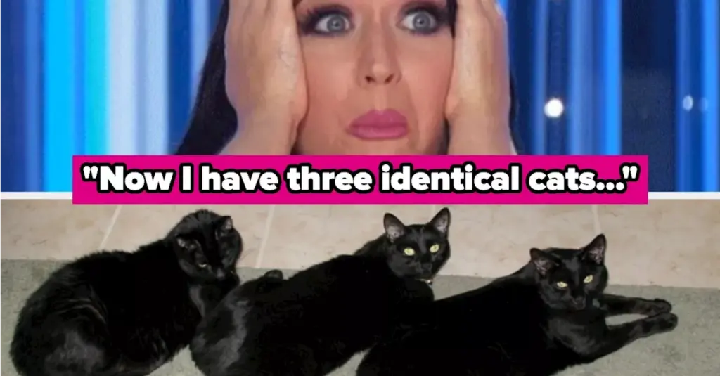 extraordinary-coincidences-that-challenge-our-perception-of-chance