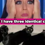 extraordinary-coincidences-that-challenge-our-perception-of-chance