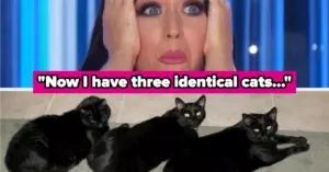 extraordinary-coincidences-that-challenge-our-perception-of-chance