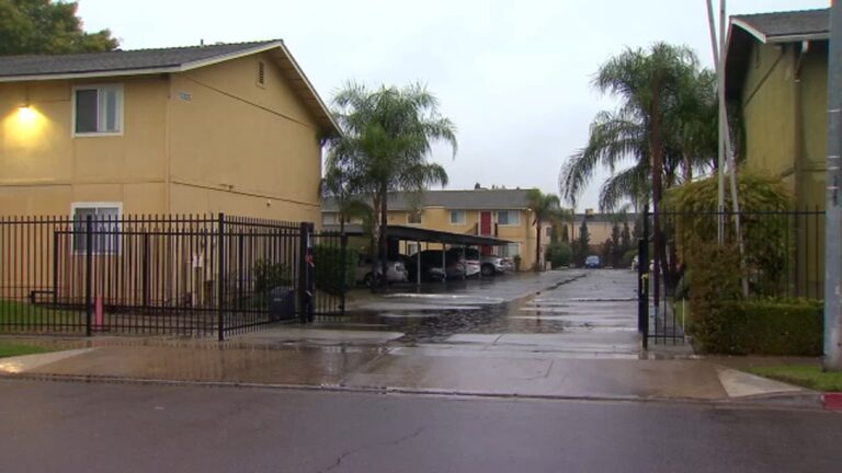 man-shot-dead-in-central-fresno-after-3-am-fight-police-confirm