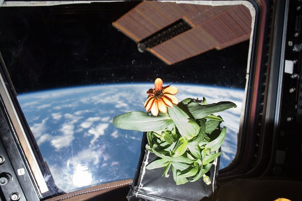 nasa-advances-space-farming-for-future-moon-and-mars-missions