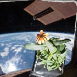 nasa-advances-space-farming-for-future-moon-and-mars-missions