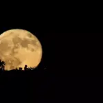 nasa-investigates-nuclear-options-as-asteroid-yr4-threatens-moon