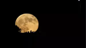 nasa-investigates-nuclear-options-as-asteroid-yr4-threatens-moon