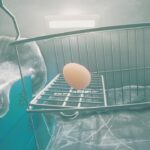 new-egg-themed-games-launch-now-play-for-free-