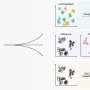 new-method-unveils-insights-from-complex-single-cell-data