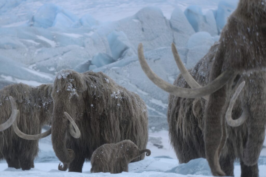 new-series-prehistoric-planet-ice-age-launches-on-apple-tv