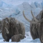 new-series-prehistoric-planet-ice-age-launches-on-apple-tv