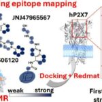 new-technique-revolutionizes-drug-design-for-ion-channel-disorders