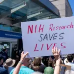nih-grant-cuts-halt-383-clinical-trials-affecting-74-311-patients