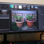 open-source-editor-rawtherapee-surges-as-lightroom-alternative