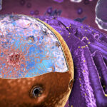 researchers-enhance-crispr-cas9-efficiency-with-novel-nuclear-entry-method