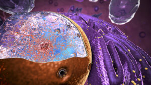 researchers-enhance-crispr-cas9-efficiency-with-novel-nuclear-entry-method