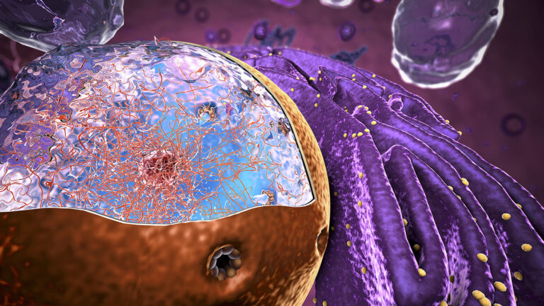 researchers-enhance-crispr-cas9-efficiency-with-novel-nuclear-entry-method