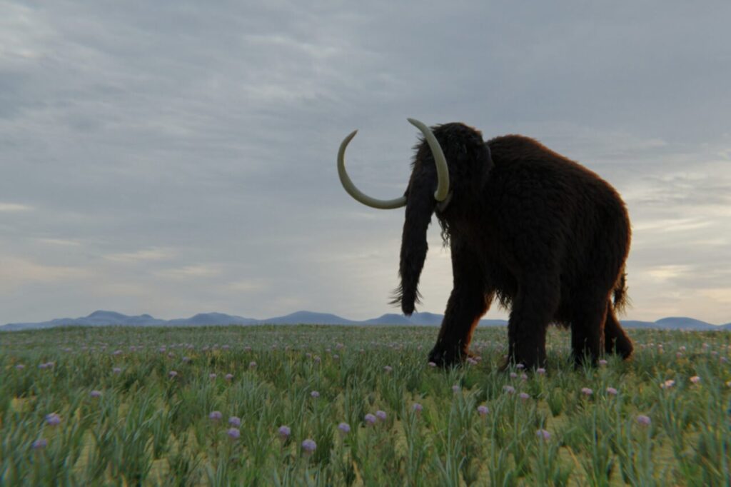researchers-uncover-northeastern-woolly-mammoth-find-in-canada