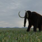 researchers-uncover-northeastern-woolly-mammoth-find-in-canada