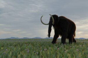 researchers-uncover-northeastern-woolly-mammoth-find-in-canada