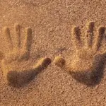 scientists-discover-humans-share-remote-touch-with-birds