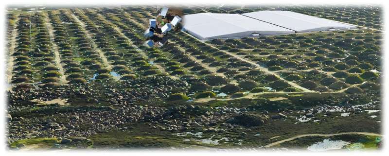 scientists-link-cosmic-ray-knee-formation-to-black-holes