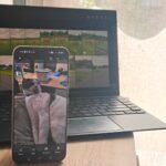 self-hosting-surge-4-key-factors-to-avoid-big-tech-control