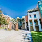 small-group-counseling-enhances-students-emotional-skills