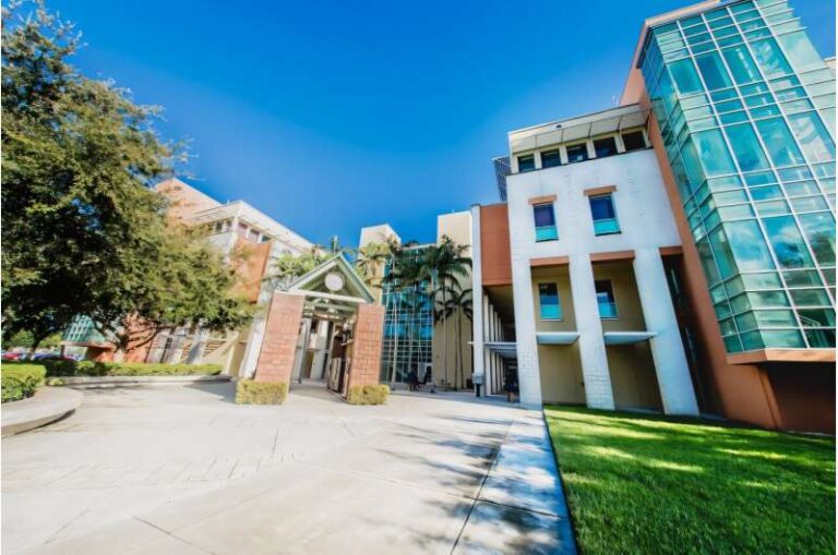 small-group-counseling-enhances-students-emotional-skills