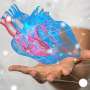 study-links-myelodysplastic-syndromes-to-increased-heart-disease-risk