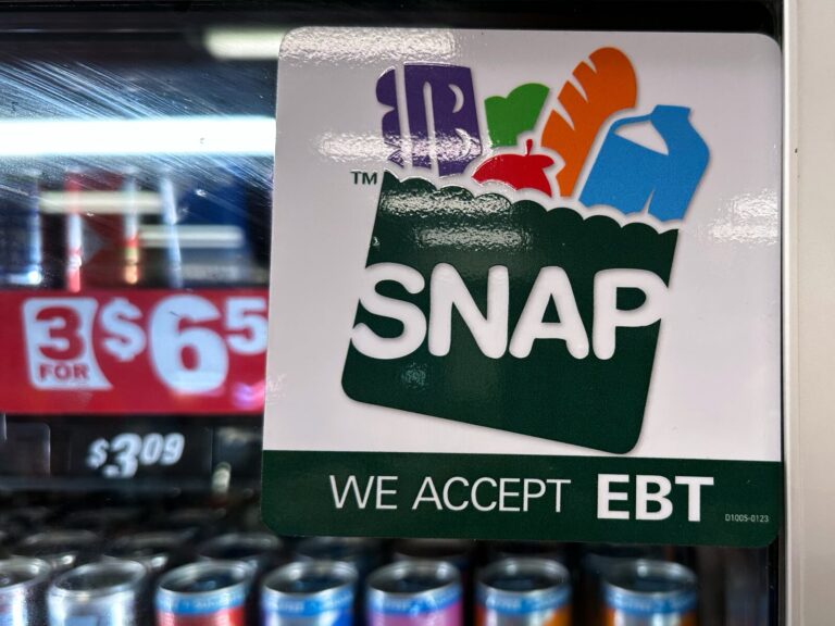 supreme-court-blocks-full-snap-payments-for-michigan-recipients