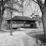 typhoid-mary-dies-urgent-historical-reminder-on-nov-11