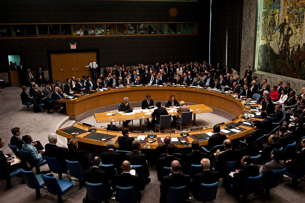 un-expert-criticizes-security-council-resolution-on-gaza