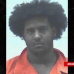 university-of-georgia-star-nyier-daniels-arrested-on-multiple-charges